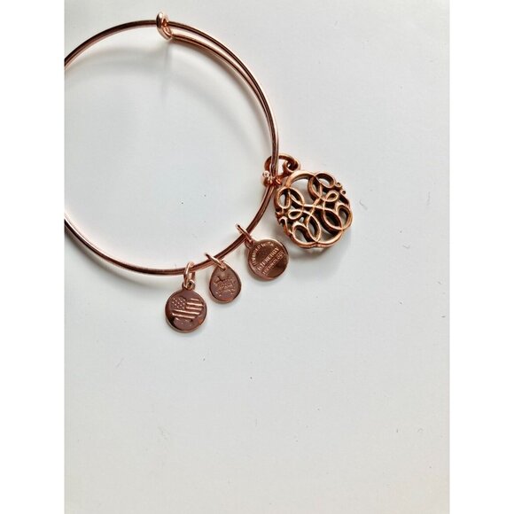 Lot of 3 ALEX & ANI Path of Life Silver & Rose Gold Charm Wire Bangle Bracelets - Picture 13 of 14